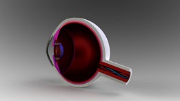 Human Eye Model