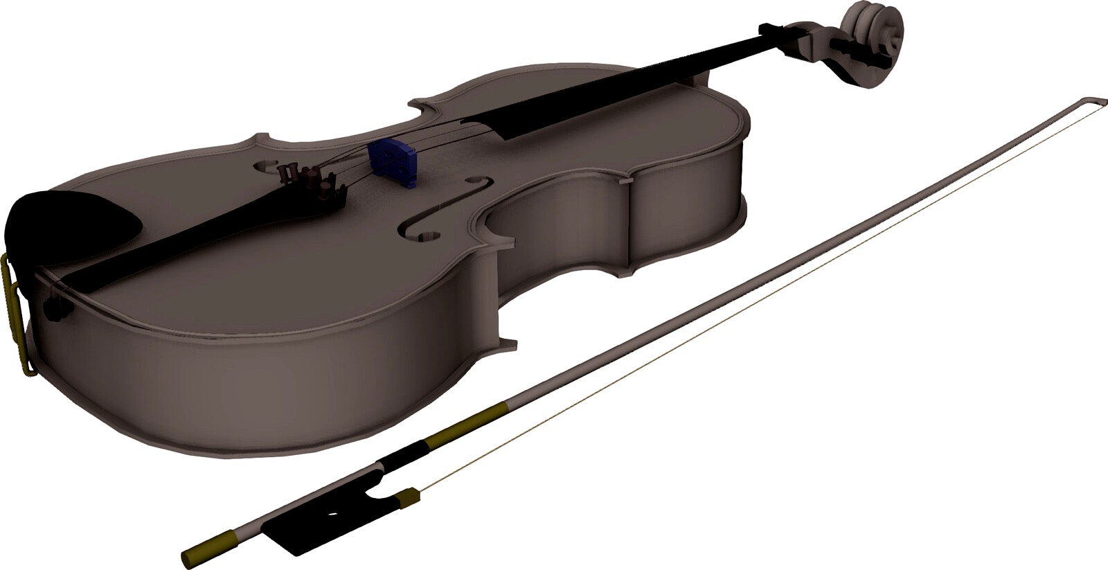 Viola