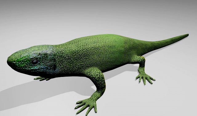 Green Lizard 3D Model