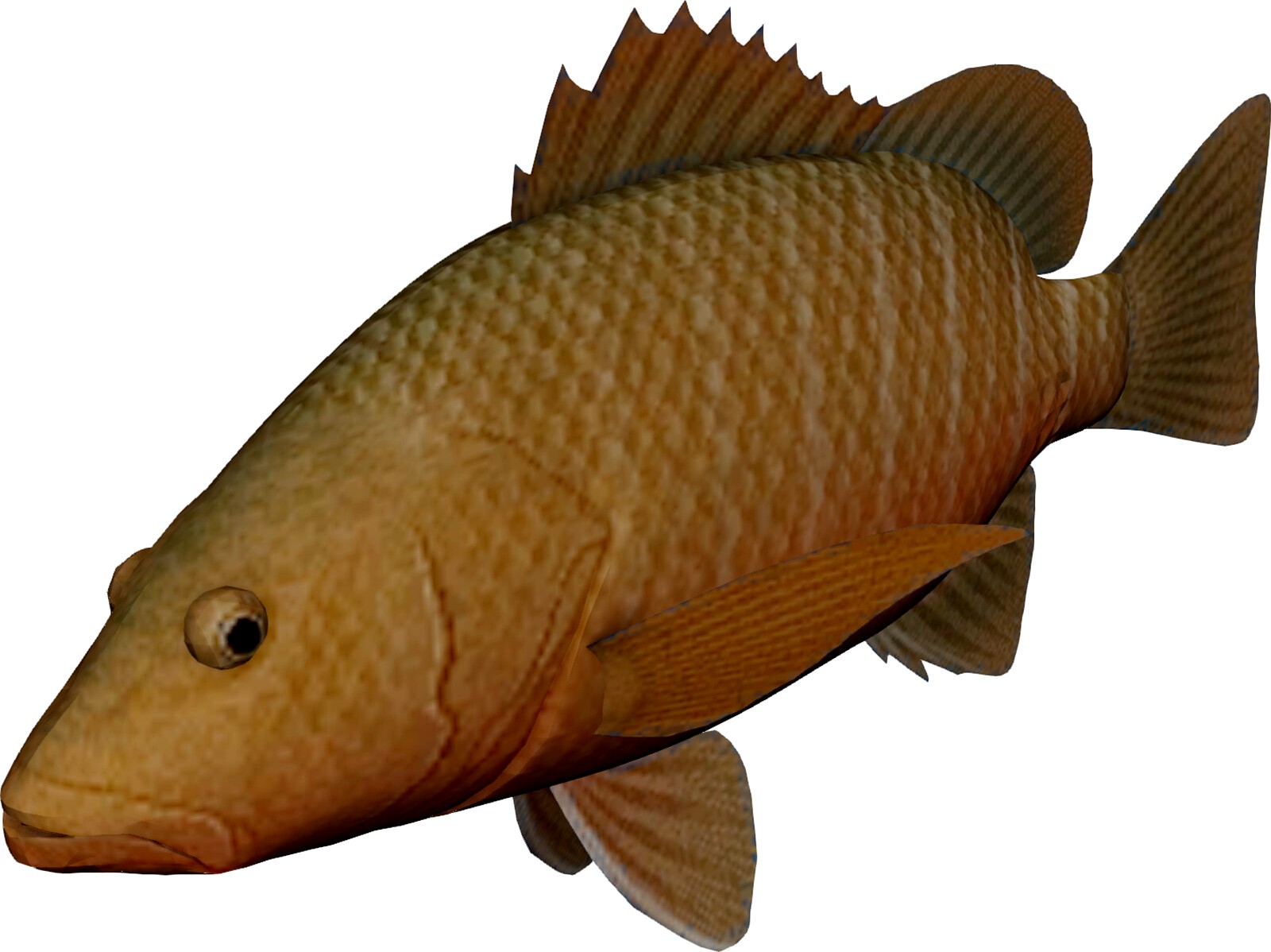 Mangrove Red Snapper