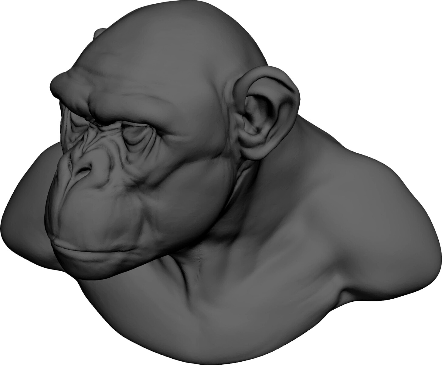 Chimp Head