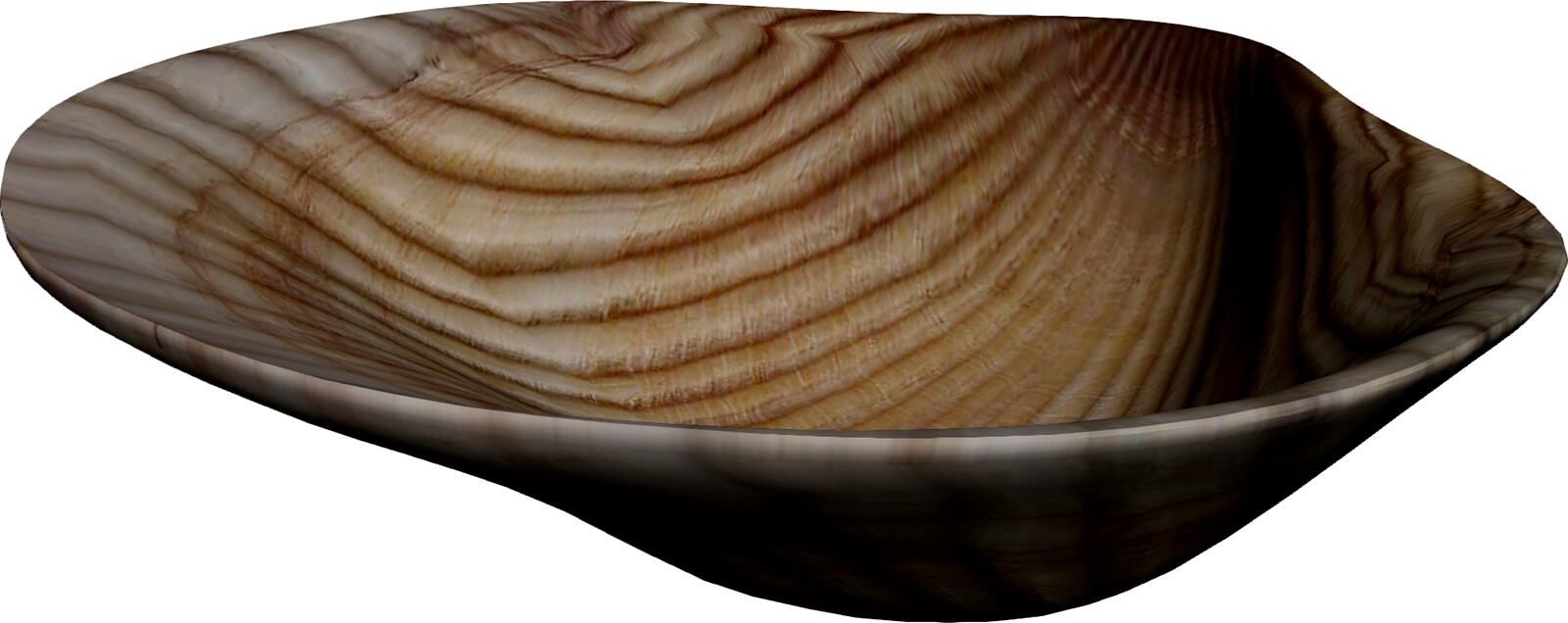 Sea Shell