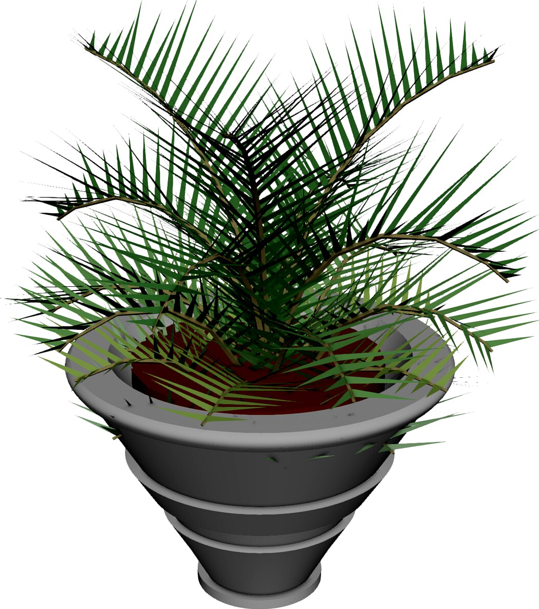 Plant in Vase