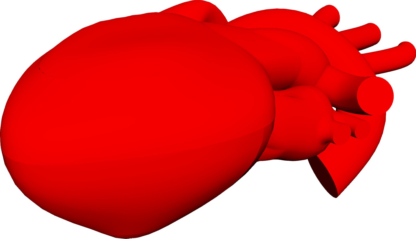 Heart Human 3D CAD Model