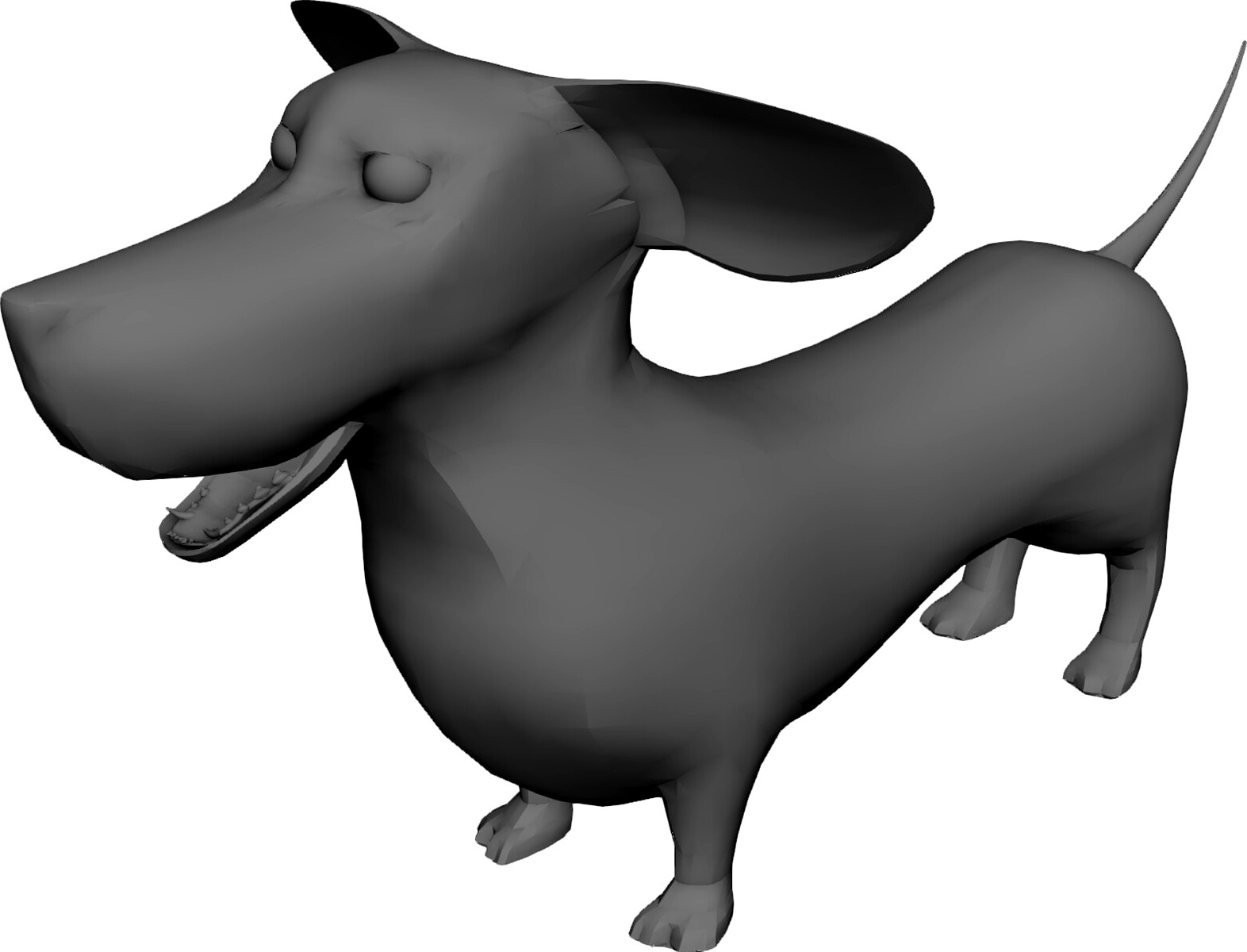 Dachshund