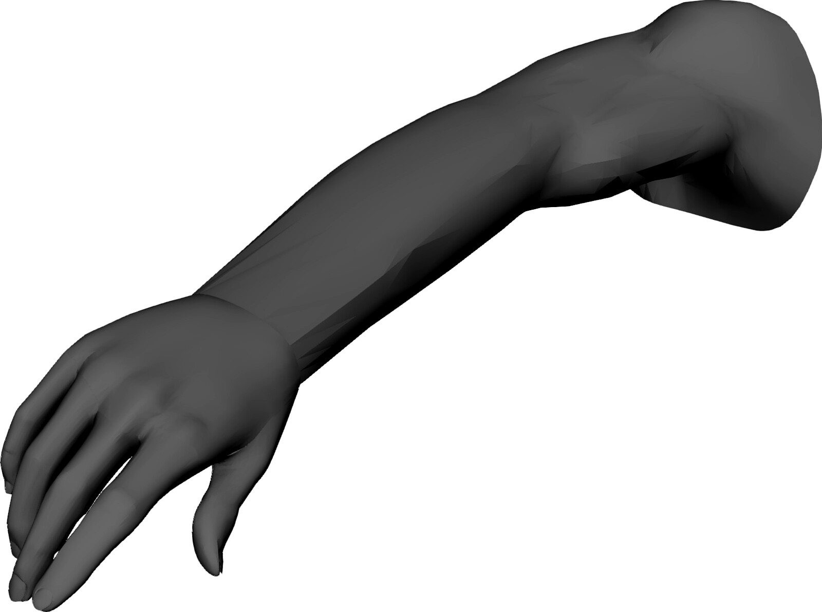 Arm Male 3D CAD Model