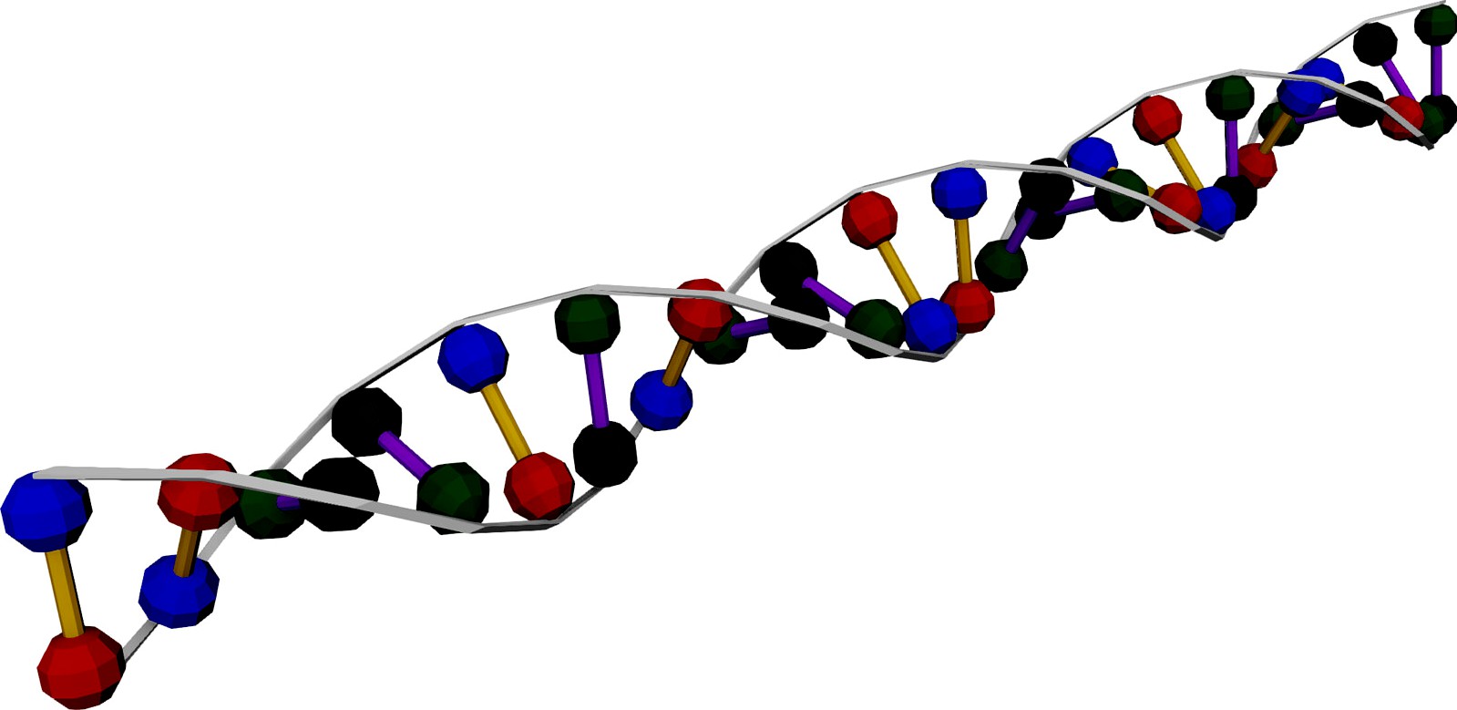 DNA Strand