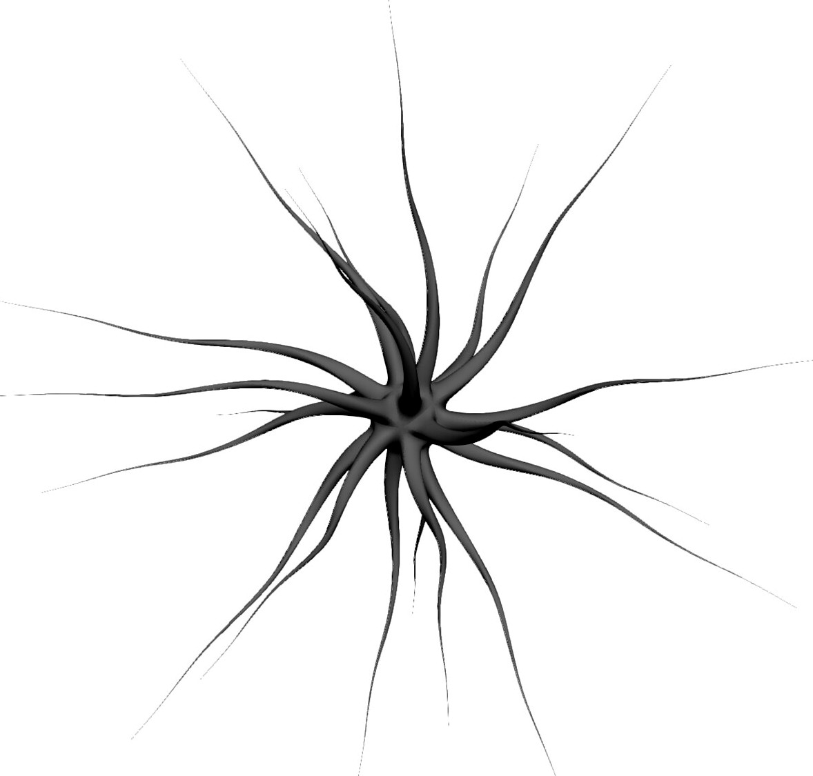 Neuron