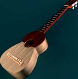 Four Strings Tipical Instrument