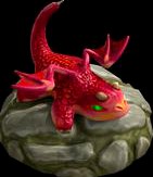 Dragon Cub