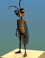 Cockroach