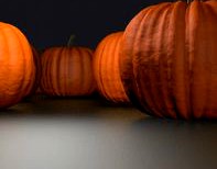 Pumpkin Patch