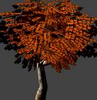 Low poly tree