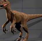 Velociraptor update 2