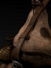 Sintel backpack textured
