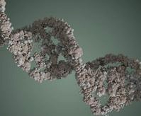 DNA molecule