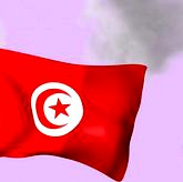 Animated Tunisian Flag