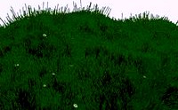 Grassy hill 1.2