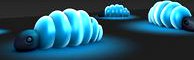 Glow Worms