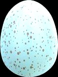Robin's Egg