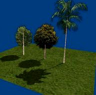 Low Poly Tree For BGE  Pohon