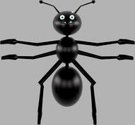 Ant