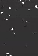 Snow Flake