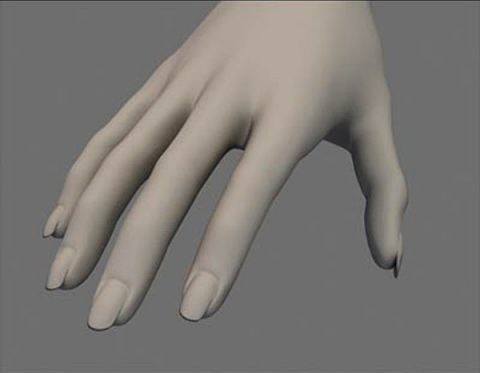 Women Hand 3D Model