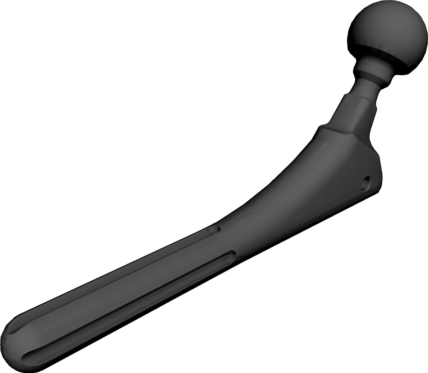 Hip Prosthesis