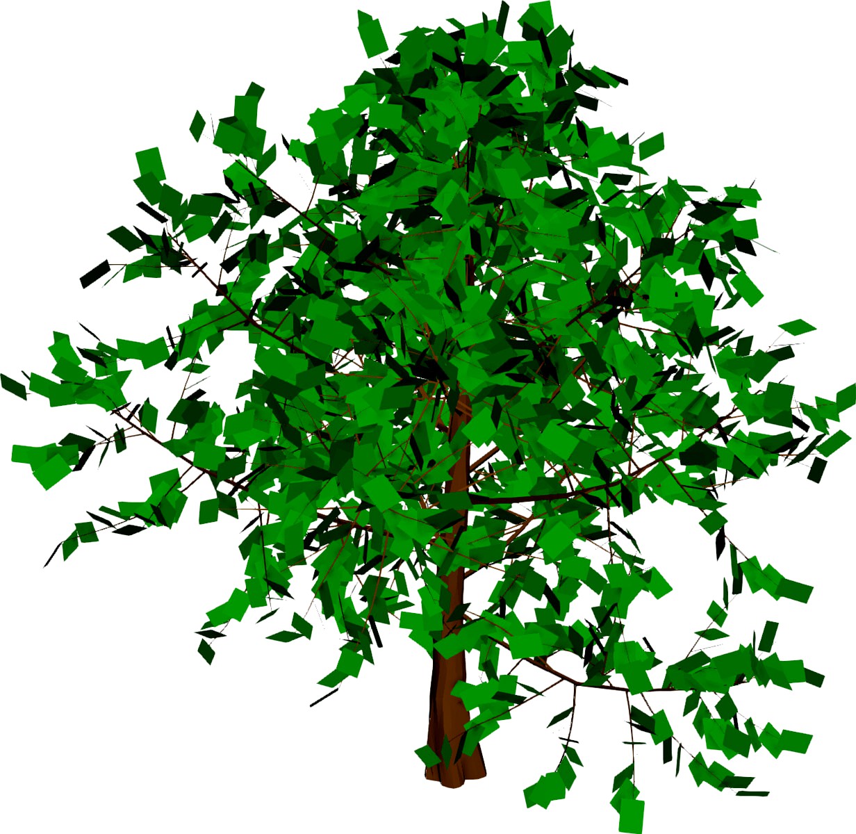 Baum Tree