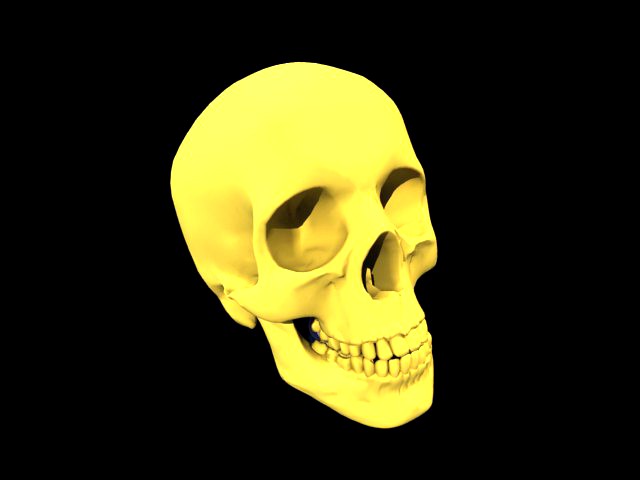 Skull