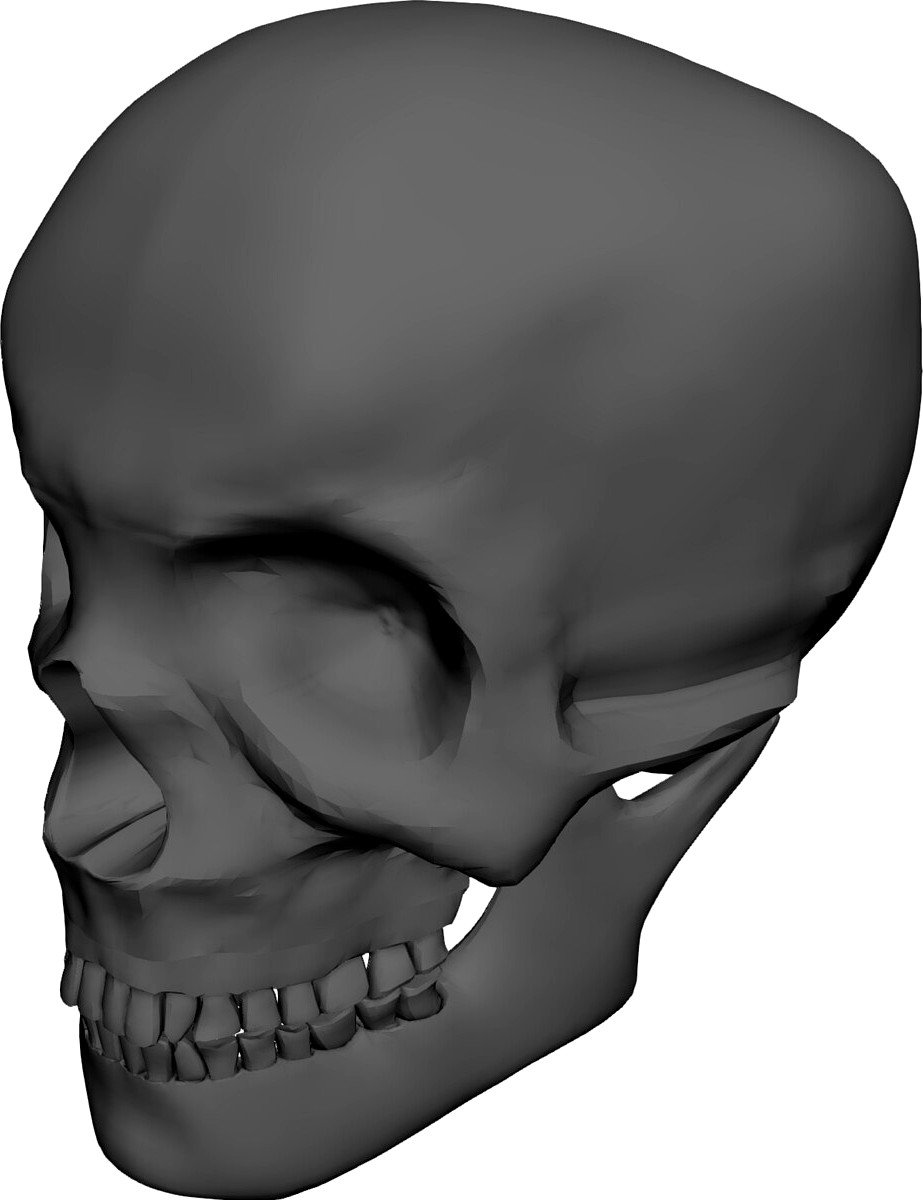 Skull Complete with Jaw Bone and Teeth