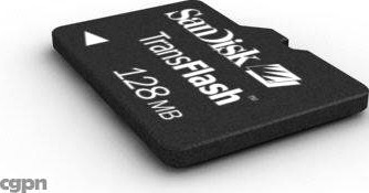 FSC Data Storage Card 43d model