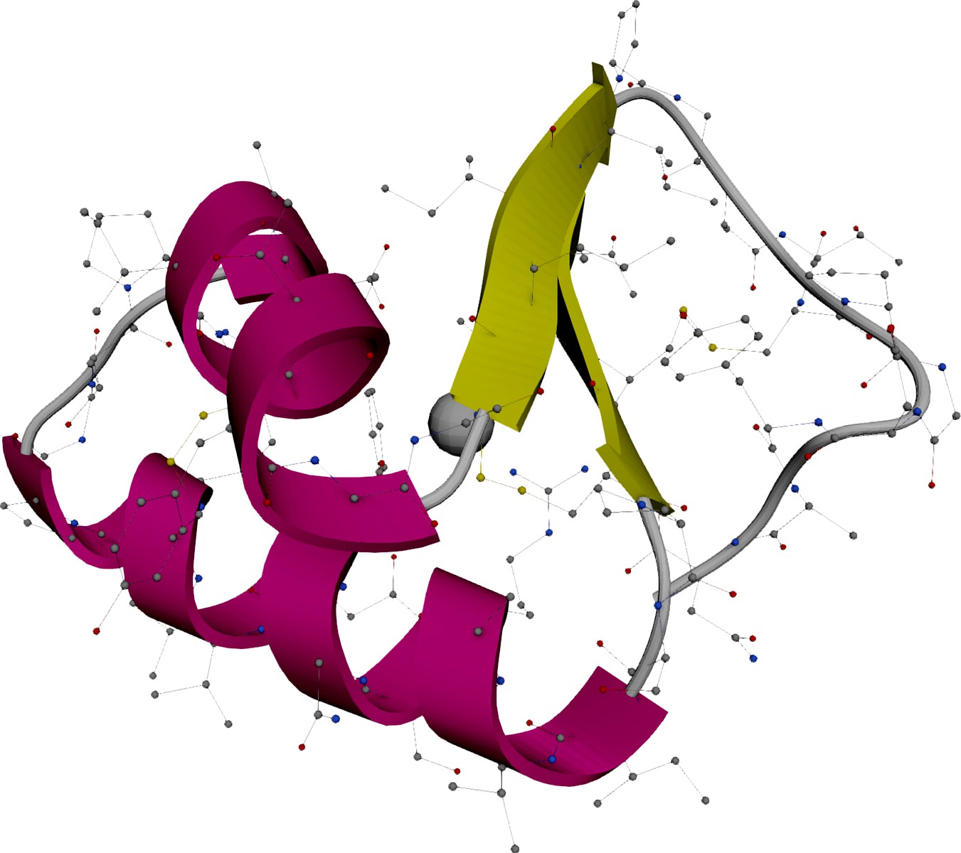 Protein Molecule