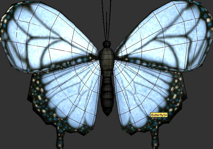 Butterfly3d model
