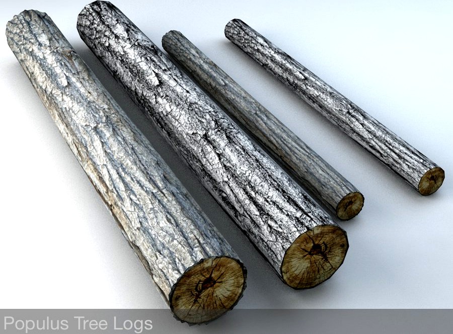 Populus Tree Timberwood Logs3d model