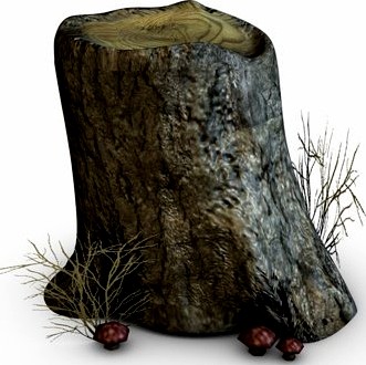 Stump with mushrooms3d model