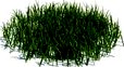 simple grass medium 104 am124