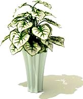 Orient gadget 18 AM64