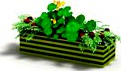 Plant 65 AM04 C4D