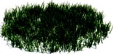 simple grass large 108 am124