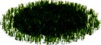 simple grass large 012 am126