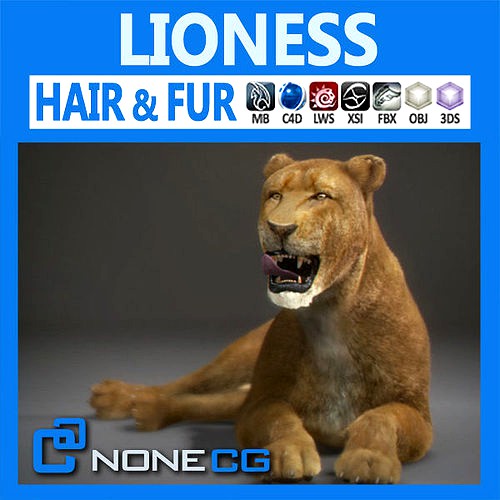 Lioness