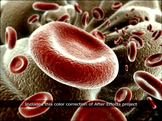 Red Blood Cells