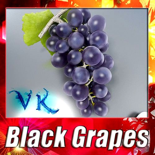 Black Grapes High Detail
