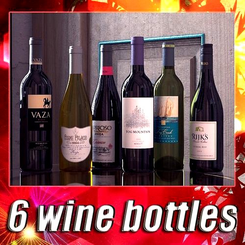 6 Wine Bottles Collection