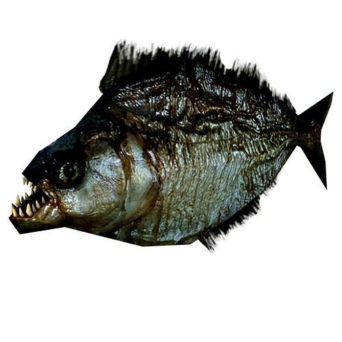 Low poly piranha