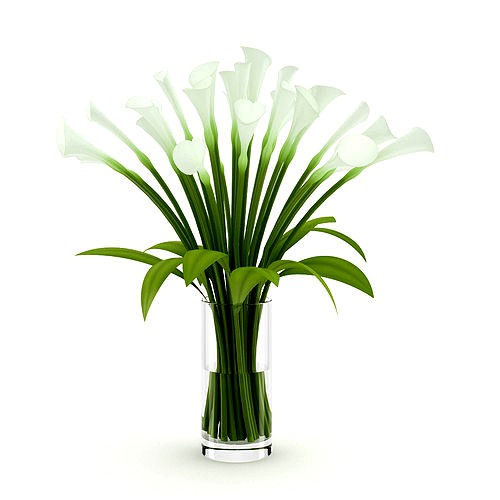 Lilies in Vase