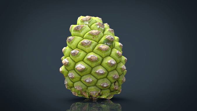 Pinecone 2