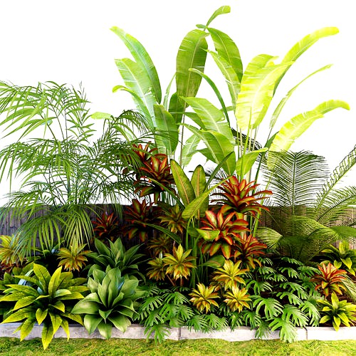 Palm composition